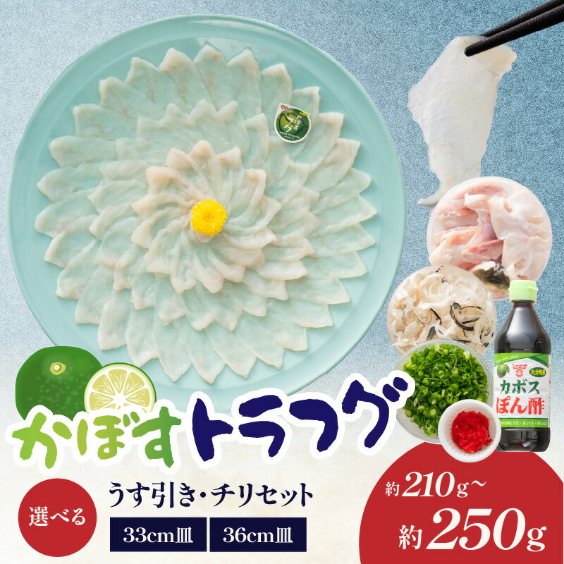 【ふるさと納税】かぼすトラフグ うす引き・チリセット【選べる内容量】33cm皿(210g) or 36cm皿(250g)【12月～2月までお届け】 ふぐ フグ ふぐ刺し 薄引き ふぐちり てっちり かぼす トラフグ お祝い 記念日 カボスポン酢 アラ E05027 E05028