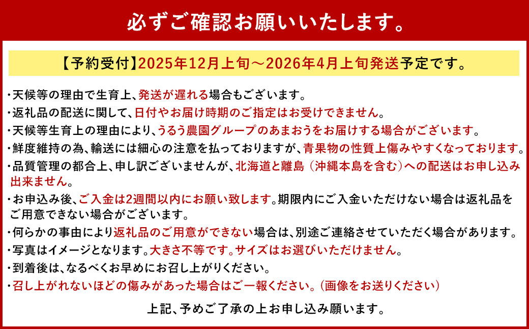 【アフター保証】贈答用 あまおう 約400g
