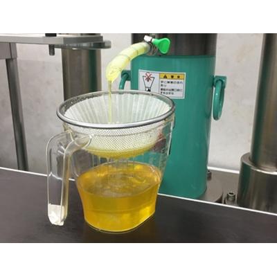 ふるさと納税 高山市 飛騨生搾りえごま油　100g×1本　お申込後に搾油するので新鮮搾りたて a526 |  | 01