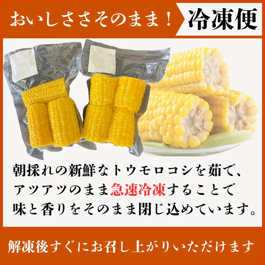 とうもろこし 5kg 冷凍トウモロコシ 秋田県産 パック 訳あり