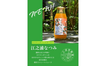 定期便１２回 小田原産江之浦みかんジュース３種のみくらべ３０本セット うんしゅう・なつみ・バレンシアオレンジ１００％ストレートジュース１８０ml各１０本合計３０本【 神奈川県 小田原市 】