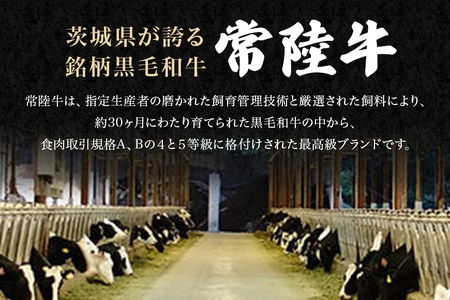 焼肉セット 約800g 国産 和牛 黒毛和牛 常陸牛【焼肉】【ho0900】