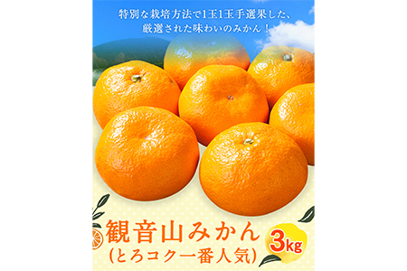 みかん 観音山みかん(とろコク一番人気) 3kg 有限会社柑香園《2025年11月中旬-2026年1月下旬頃出荷》和歌山県 紀の川市 フルーツ 果物 柑橘 みかん
