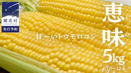 【 2025年 8月上旬 発送開始 】 甘～いトウモロコシ 恵味 5kg 約10～12本  とうもろこし 産地直送 羽生田売店 期間限定 先行受付 人気 朝採り お取り寄せ 関東 群馬 [AL005tu]