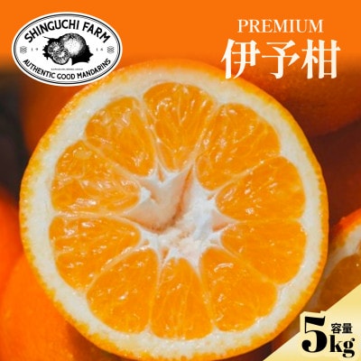 老舗農家が見極めたプレミアム【伊予柑5kg】【愛媛県川上産】【D70-95】【1671260】