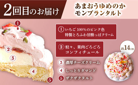 【全2回定期便】モンブラン定期便【心優　-Cotoyu Sweets-】[KAA413]/ 長崎 平戸 菓子 スイーツ ケーキ タルト 贈物 贈答 スイーツ ケーキ タルト プレゼント ギフト スイー