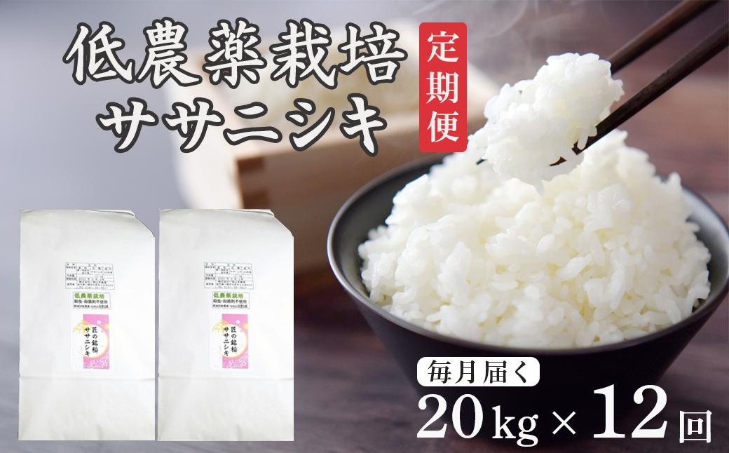 
            ＜新米先行予約＞【毎月定期12回】令和7年産 新米 低農薬栽培 ササニシキ 20kg【選べる 精米・玄米】
          