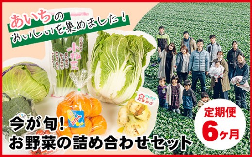 【6ヶ月定期便】今が旬！お野菜の詰め合わせセット｜旬野菜 定期便 詰め合わせ 野菜セット 新鮮 冷蔵 春 夏 秋 冬 8〜10種 おまかせ 食材 ボックス 家庭料理 野菜レシピ お取り寄せ 送料無料 愛知県 No.216