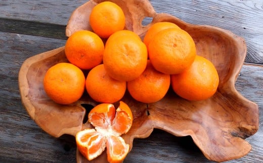 
            有機栽培 有田みかん（約5kg）（A250-1）
          