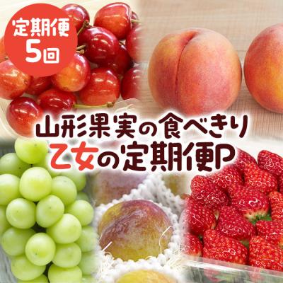ふるさと納税 山形市 【定期便5回】山形果実の食べきり[乙女の定期便P] 【令和8年産先行予約】FS25-658