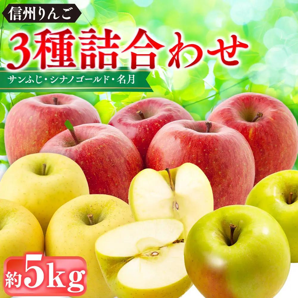 信州りんご・3種詰合わせ（サンふじ・シナノゴールド・名月）約5kg（12個～16個）｜ フルーツ