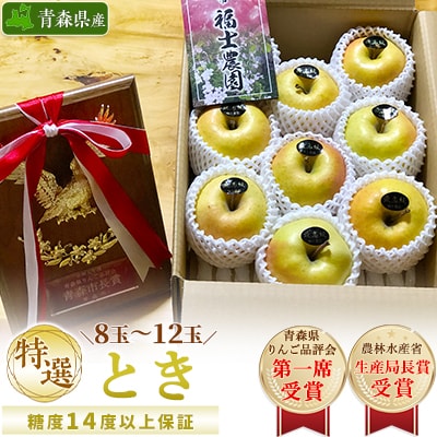「とき」約3kg・糖度14度以上保証・特選贈答用りんご 青森市長賞受賞【配送不可地域：離島・沖縄】【1074177】