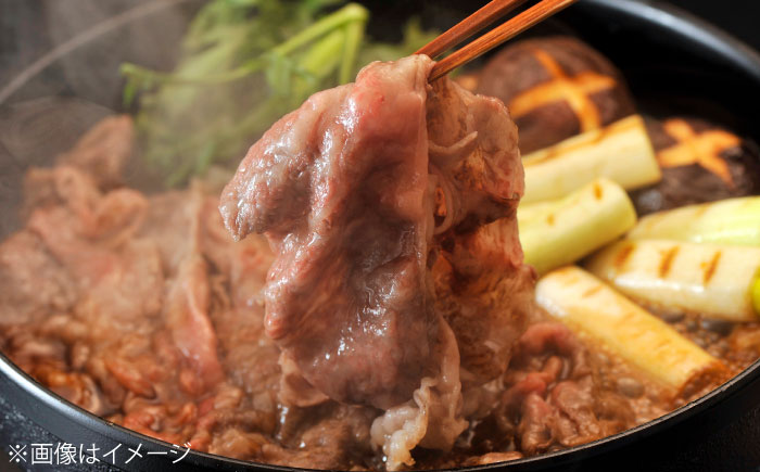 佐賀牛 ももスライス 500g （500g×1P）/ 牛肉 / 佐賀県 / 織田精肉店 [41ADAB005]