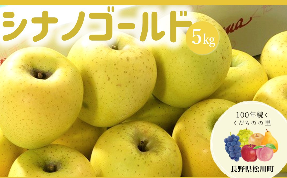りんご シナノゴールド （松川町産） 5kg