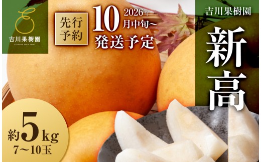 【2026年分先行予約】 梨 新高　約５kg（7～10玉）10月中旬～順次発送【吉川果樹園】 ｜ 梨