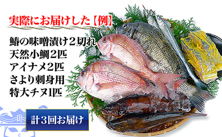 ［頒布会3回］瀬戸内海産の海産物の詰め合わせ（下処理アリ）