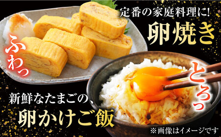 【箱入り】平飼たまご ファイブエッグ M-Lサイズ 70個 / 5EGG 卵 赤玉子五島市 / 五島列島大石養鶏場 [PFQ009]  玉子 タマゴ 鶏卵 希少 五島列島