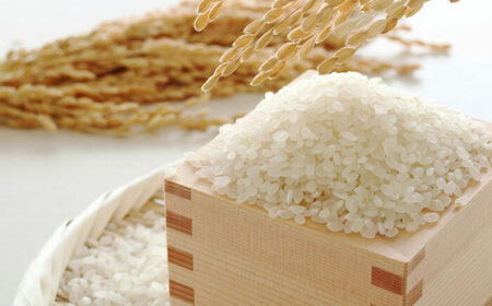 【令和6年産】果物屋さんが選んだ米 夢つくし 10kg [BGAG023]新米 ゆめつくし