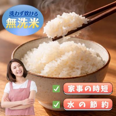 ふるさと納税 江北町 【2ヵ月毎定期便】【無洗米】さがびより10kg【5kg×2袋】(江北町)全3回 |  | 01
