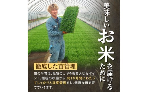 ※5～7営業日以内発送※ 令和8年産 北海道産 ななつぼし 精米 10kg 特A 雨竜町 お米 米 厳選 人気 ＜ フジエファーム ＞_R8U002-003-5D