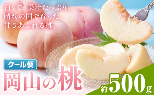 【2027年発送先行予約】岡山の桃 約500g《2027年6月下旬～9月上旬頃出荷》岡山県 笠岡市 白桃 岡山 はくとう スイーツ フルーツ 果物 デザート 旬 モモ もも 送料無料 果物 清水白桃 白鳳 白麗 クール便