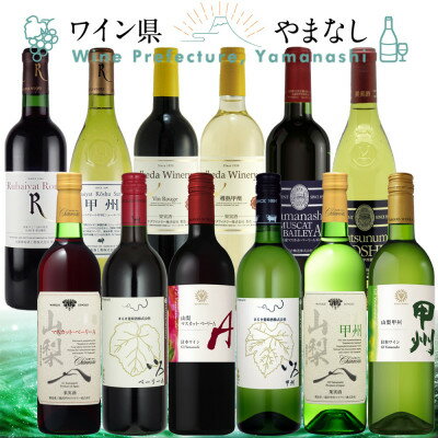 【ふるさと納税】山梨ワイン 至極の12本セット【配送不可地域：離島】【1607490】