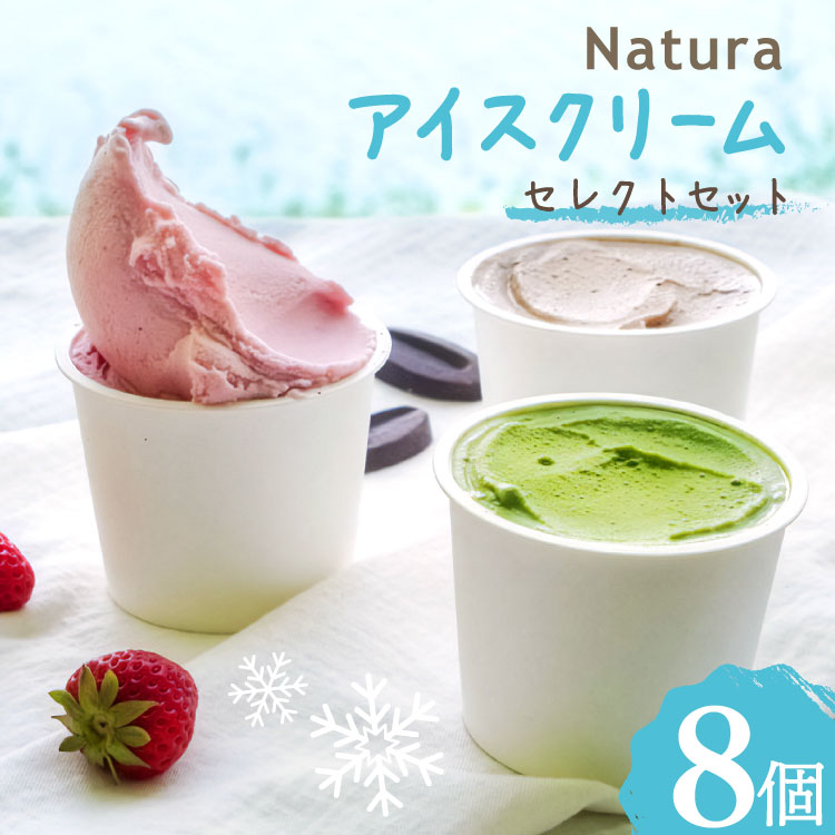 【ふるさと納税】 アイス ナチューラのアイスクリーム セレクト 8個入り [ナチューラ 徳島県 北島町 29am0012] アイスクリーム スイーツ セット 詰め合わせ ジェラート