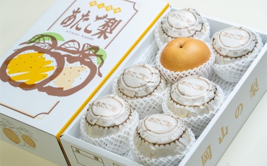 梨 2026年  家庭用  あたご梨 約4kg（3～9玉） 箱青秀 【岡山県産 フルーツ ギフト 石原果樹園】