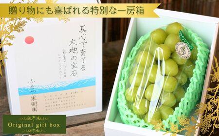 【令和7年発送・先行予約】ハウス栽培　南アルプス市産シャインマスカット(1房・600ｇ以上)真心で育てる大地の宝石！【早期出荷】 ALPDX008