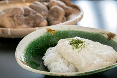 E022 徳地やまのいものすりおろしトロロ　100g×3個