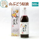 【ふるさと納税】山ぶどう原液 500ml×1本