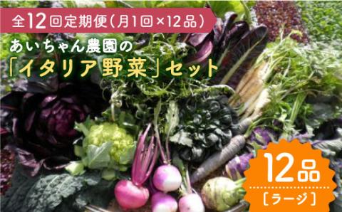 【12品×12回定期便】農薬に頼らない！カラダにやさしい「イタリア野菜」セット（ラージ）吉野ヶ里町/あいちゃん農園[FAA022]