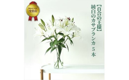 【百合の王様】【未開花/長持ち】農林水産大臣賞を受賞したフローリストがアレンジする“純白のカサブランカ”【 花 お花 神奈川県 小田原市 お花】
