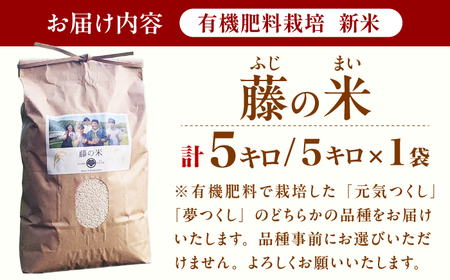 【新米】ふじのまい 5kg GCO003 新米 