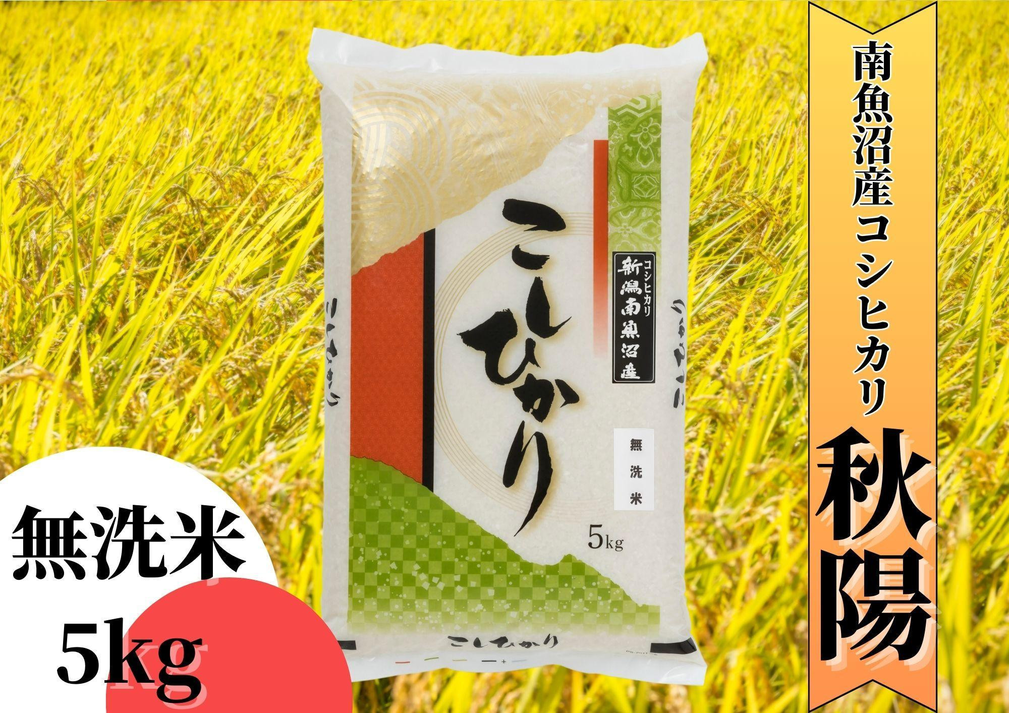 
            【令和7年産 新米予約】南魚沼産コシヒカリ「秋陽」（無洗米5kg）新潟県の特A地区南魚沼市の美味しいお米【2025年（令和7年）10月上旬より順次発送予定】【米 お米 こしひかり 南魚沼 米 無洗米 こめ 新潟 米】
          