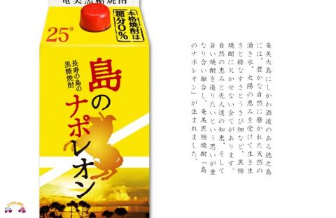 【蔵元直送】奄美本格黒糖焼酎　島のナポレオンパック900ml×24本（数量限定）