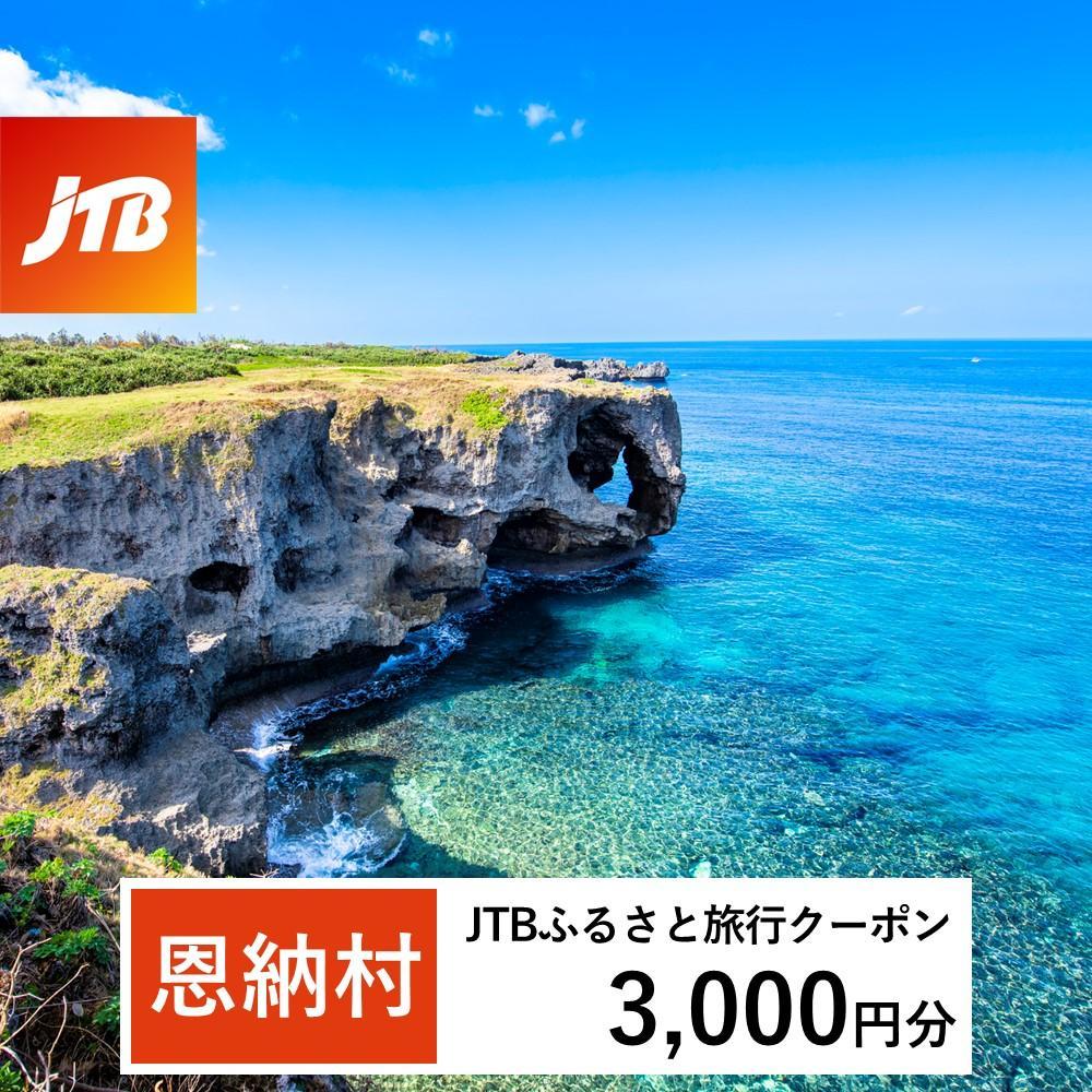 【ふるさと納税】【恩納村】JTBふるさと旅行クーポン（Eメール発行）（3千円分）
