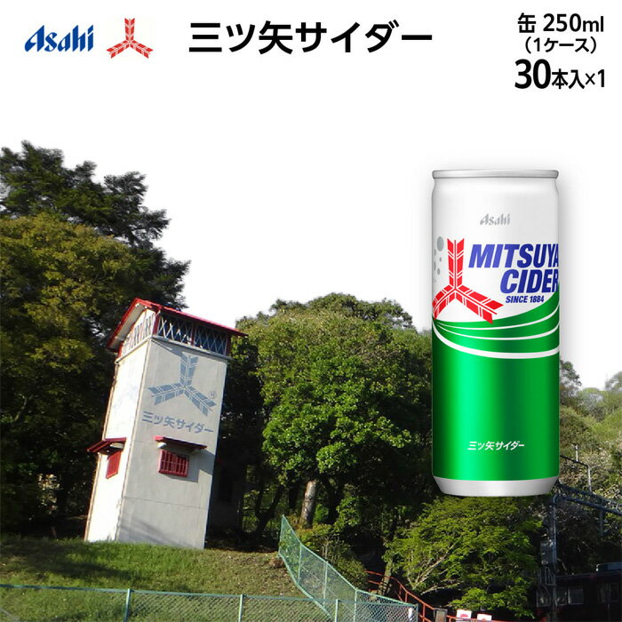 【ふるさと納税】 三ツ矢サイダー缶250ml 30本（30本入×1ケース） No.385 KWNQ002 ／ サイダー ジュース 炭酸 飲料 缶 まとめ買い ケース買い アサヒ 人気 定番 有名 送料無料 兵庫県 川西市