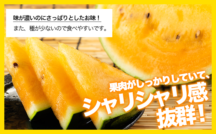 【先行予約】【日付指定不可】『きよたファーム』の黄色すいか1玉 《2026年5月上旬-7月中旬頃出荷》熊本県玉名郡玉東町『きよたファーム』すいか フルーツ 果物 熊本県産 黄色