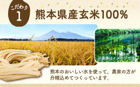 【全6回定期便】玄米パスタ フェットチーネ7袋セット / 玄米 パスタ 特産品 熊本【株式会社熊本玄米研究所】[BHAF025]