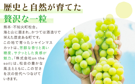 シャインマスカット 2～3房 約1.2kg  2025年発送 先行予約 フルーツ ぶどう 果物 大粒 高級 ブドウ 葡萄 くだもの 果物 マスカット 宇城市産 熊本県産 九州産 国産 冷蔵 【2025