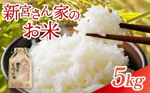 【精米】 新米先行受付 大崎産 新宮ほのか米 （なつほのか）5kg