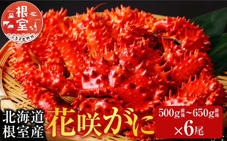 <年内配送可>【北海道根室産】花咲かに500～650g×6尾 D-70046
