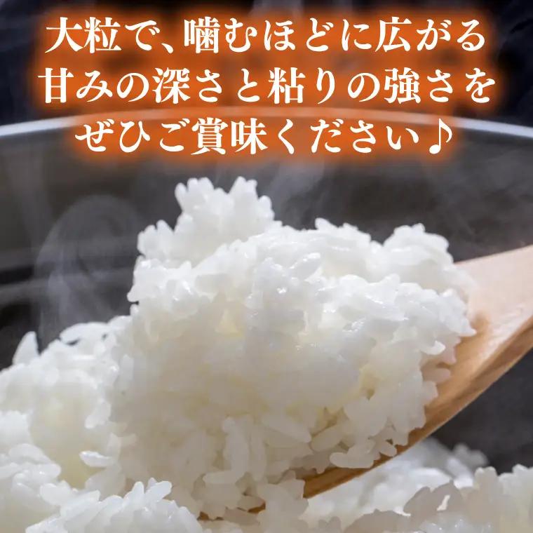 ＼新米 先行予約 ／★令和8年産★ 「ゆうだい21」白米 精米 5キロ   (AU006)