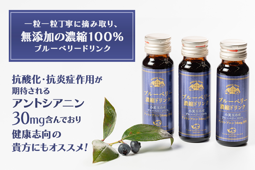 濃縮100％ブルーベリードリンク