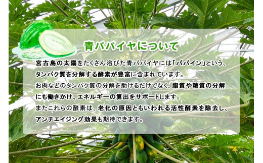 JJ011　宮古島産パパイヤしりしり（500g×3パック）