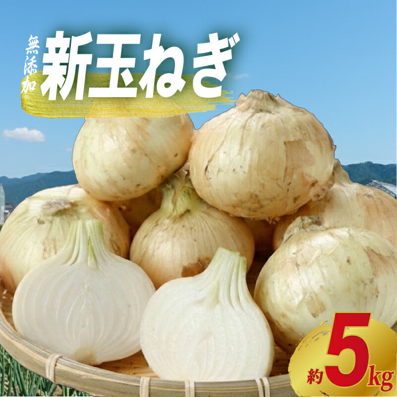 【ふるさと納税】 先行予約 玉ねぎ 約 5kg 新玉ねぎ サイズ 不揃い 期間限定 オニオン 玉葱 たまねぎ 国産 銚子産 産地直送 野菜 春野菜 新鮮 甘い ジューシー 生 大容量 BBQ おかず お弁当 旬 常温 送料無料 千葉県 銚子市 サンズファーム 【4月上旬~5月中旬頃発送予定】