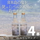 【ふるさと納税】なみうちサイダー340ml×4本【喜界島の塩を使ったサイダー】