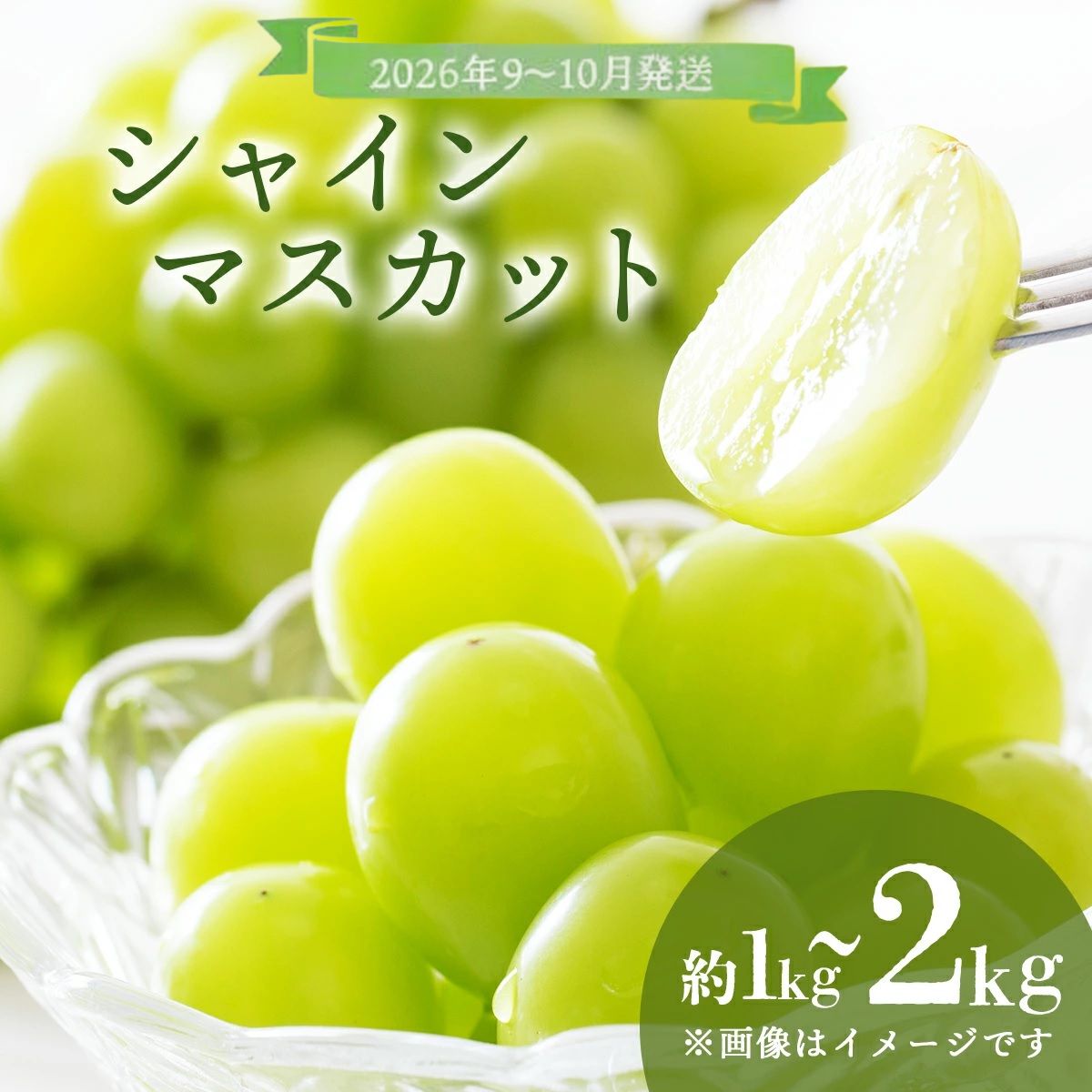 【ふるさと納税】【選べる容量】＜2026年発送分 先行予約＞9月～10月発送お土産シャインマスカット1kg箱or2kg箱【029-a011/029-a012】