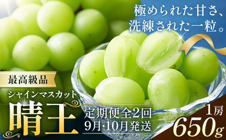 【2026年発送先行予約】シャインマスカット 晴王 2ヶ月 定期便 650g(1房)×2回お届け 最高級品 シャイン マスカット《2026年9月中旬-10月中旬頃出荷予定》 晴レ乃青果(岡山中央卸売市場店(富士紙工有限会社)) 送料無料 岡山県 果物 【配送不可地域あり】